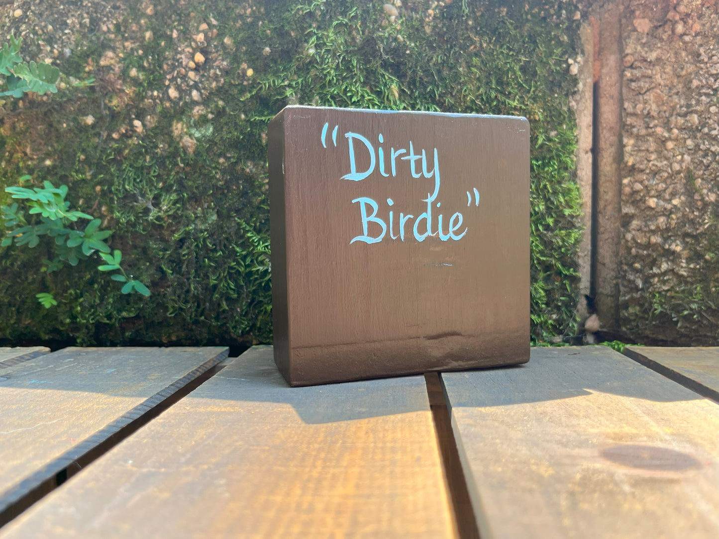 Original Painting on Wood, Dirty Birdie