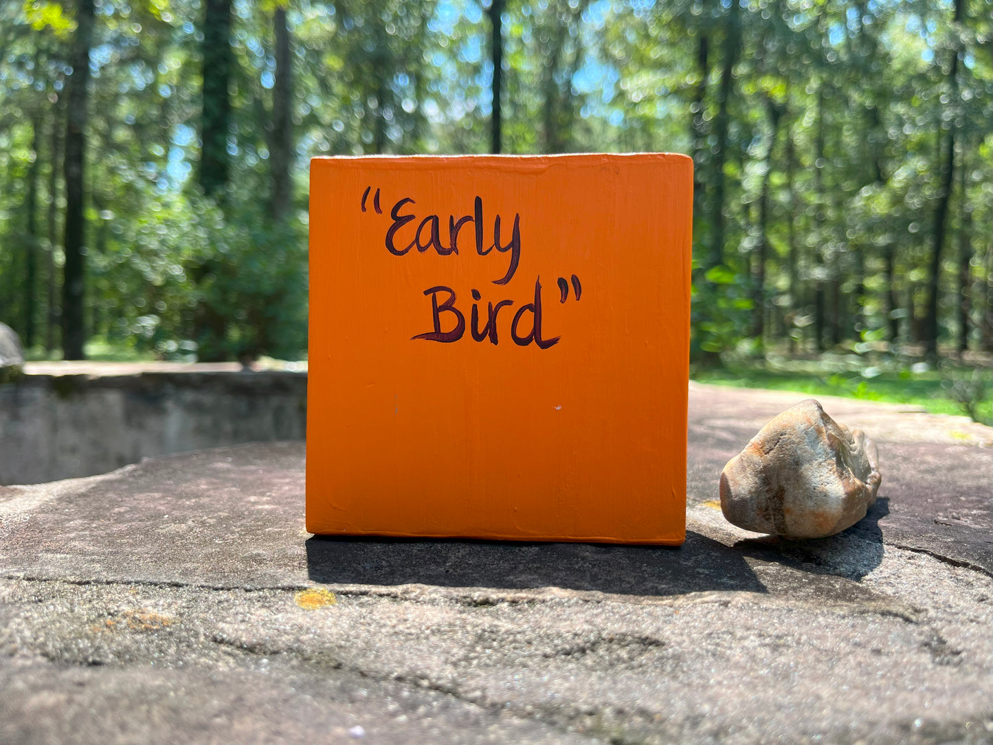 Original Painting on Wood, Early Bird