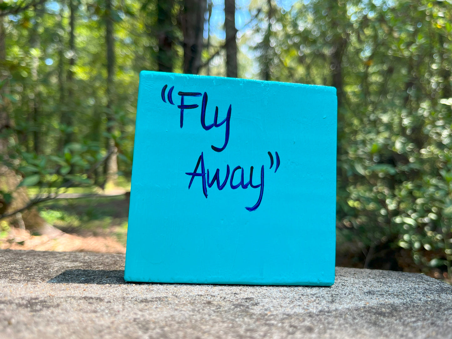 Original Painting on Wood, Fly Away