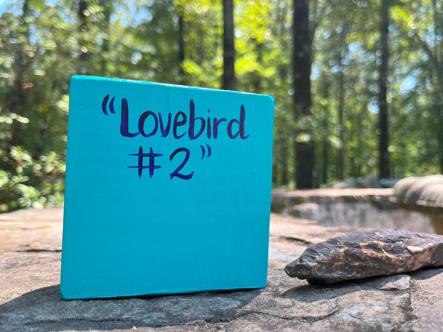 Original Painting on Wood, Lovebird #2