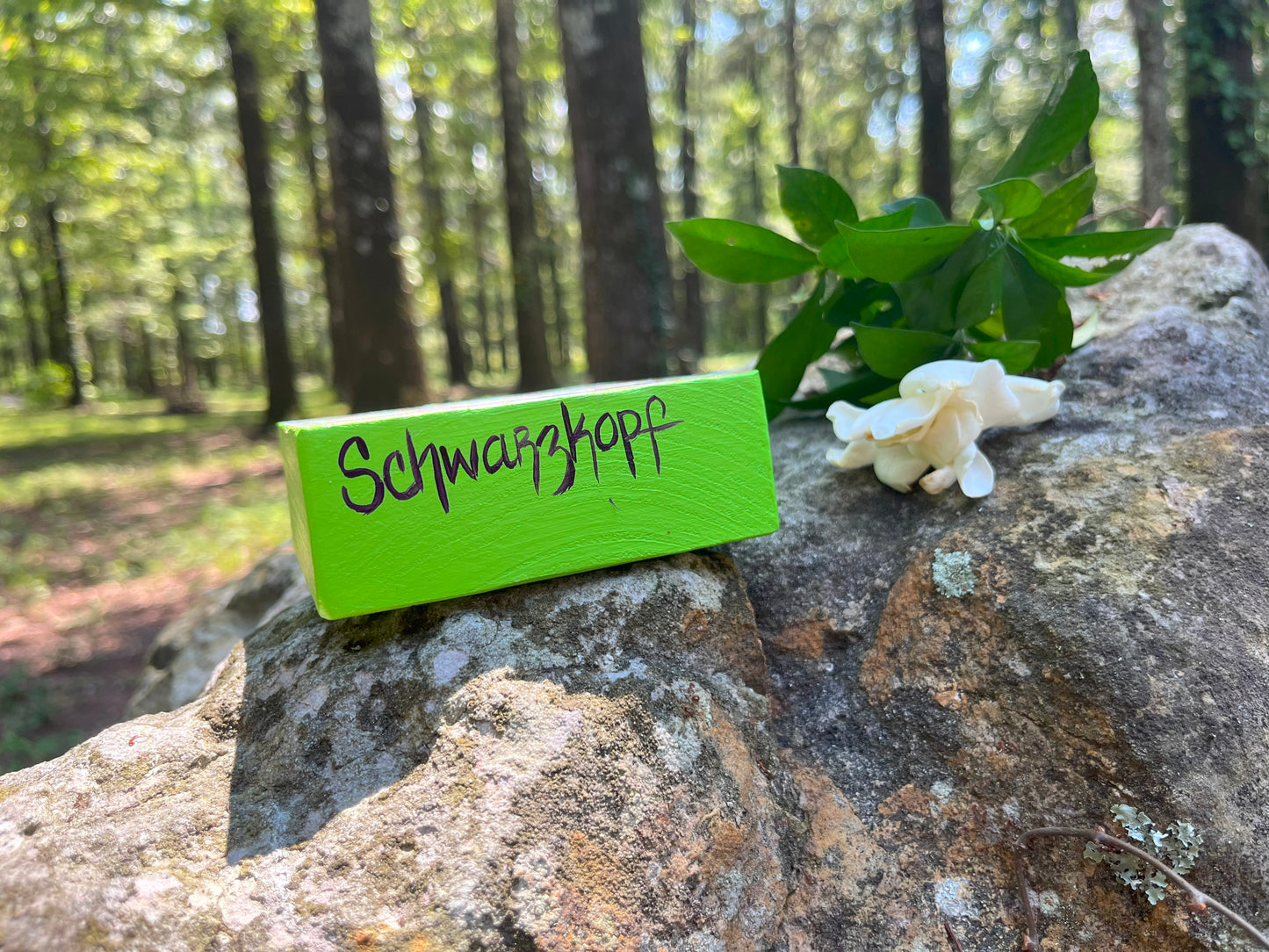 Original Painting on Wood, This Tree Right Here?