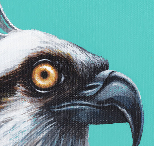 Fine Art Print, Ospriesling