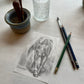 Original Graphite Drawing on Paper, Rise Again, No. 10 of 31 Horse Drawings