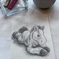 Original Graphite Drawing on Paper, Isla's Horse, No. 19 of 31 Horse Drawings