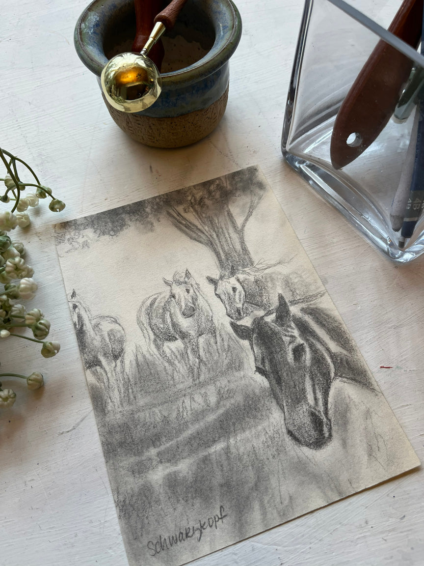 Original Graphite Drawing on Paper, This Herd Right Here?, No. 31 of 31 Horse Drawings