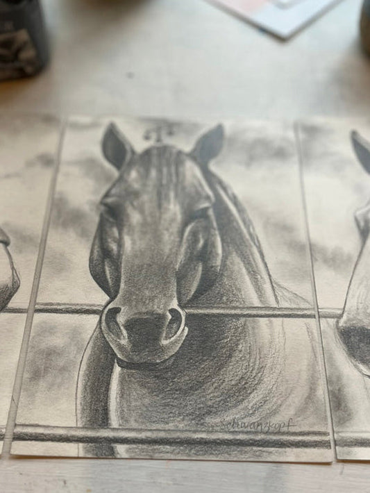Original Graphite Drawing on Paper, Scarcity, No. 5 of 31 Horse Drawings