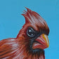 Original Painting on Wood, Angry Bird