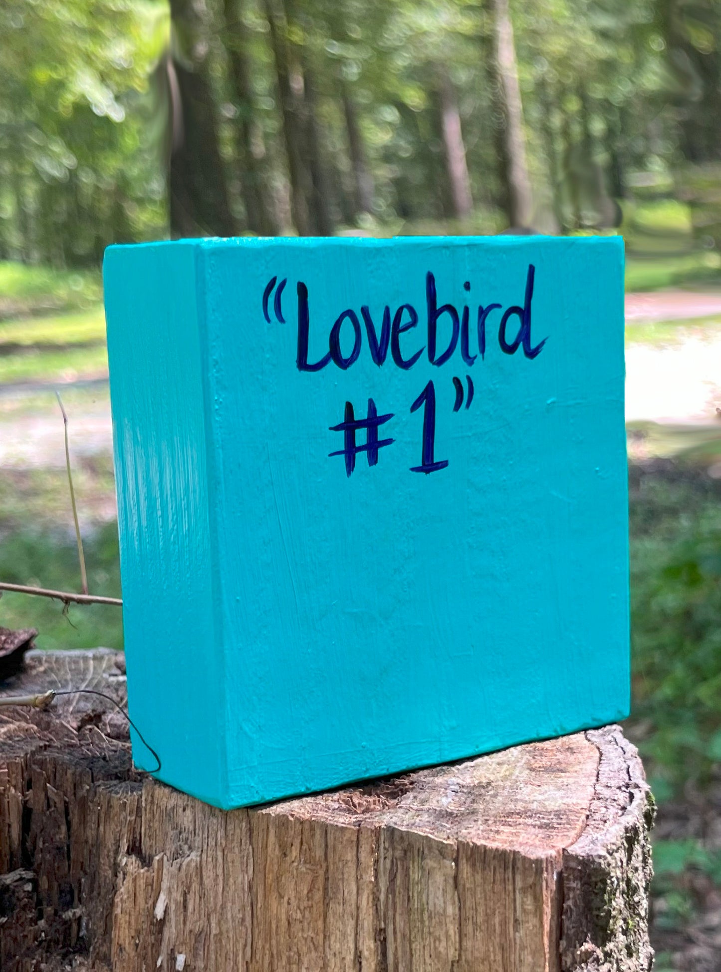 Original Painting on Wood, Lovebird #1