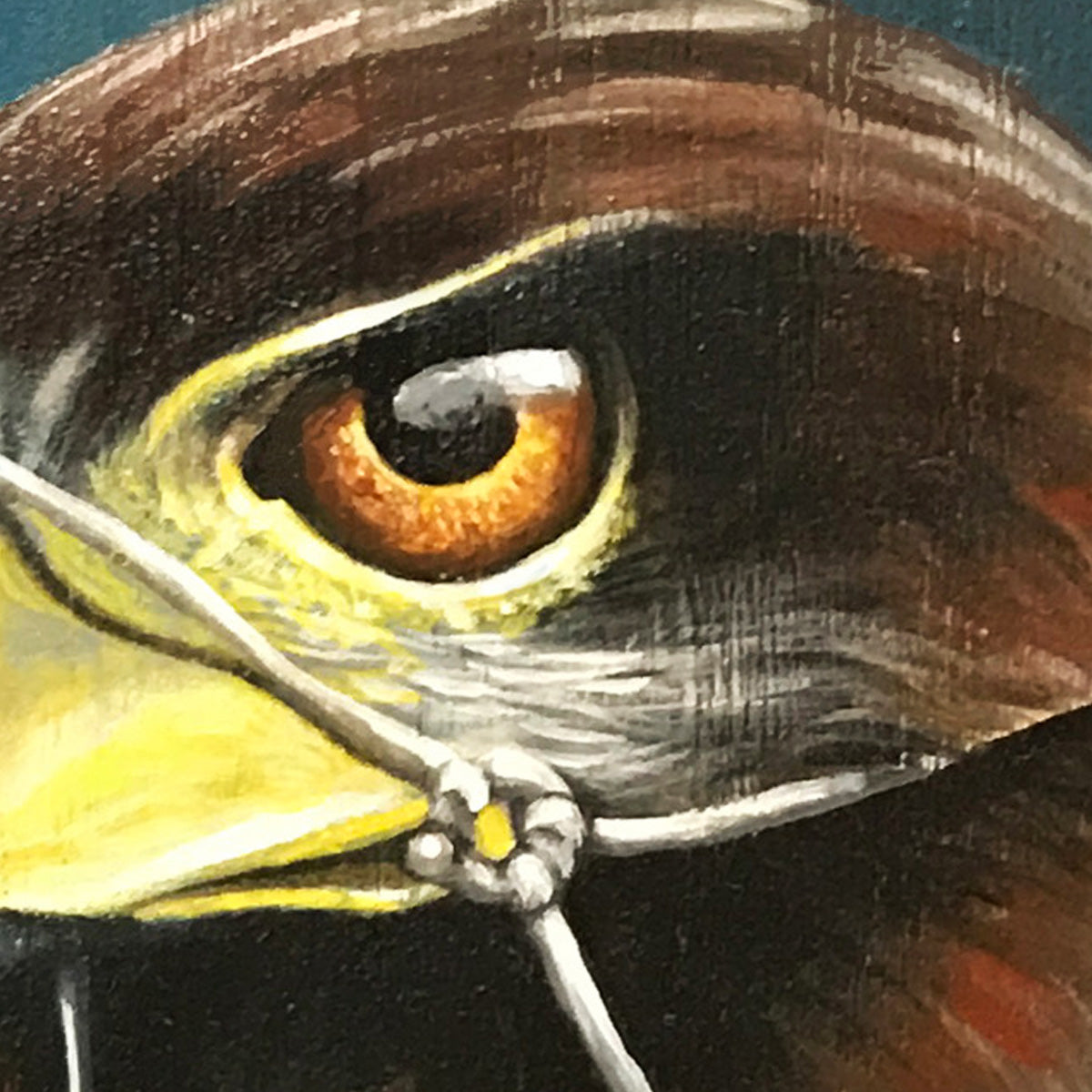 Fine Art Print, Hare and Hawk