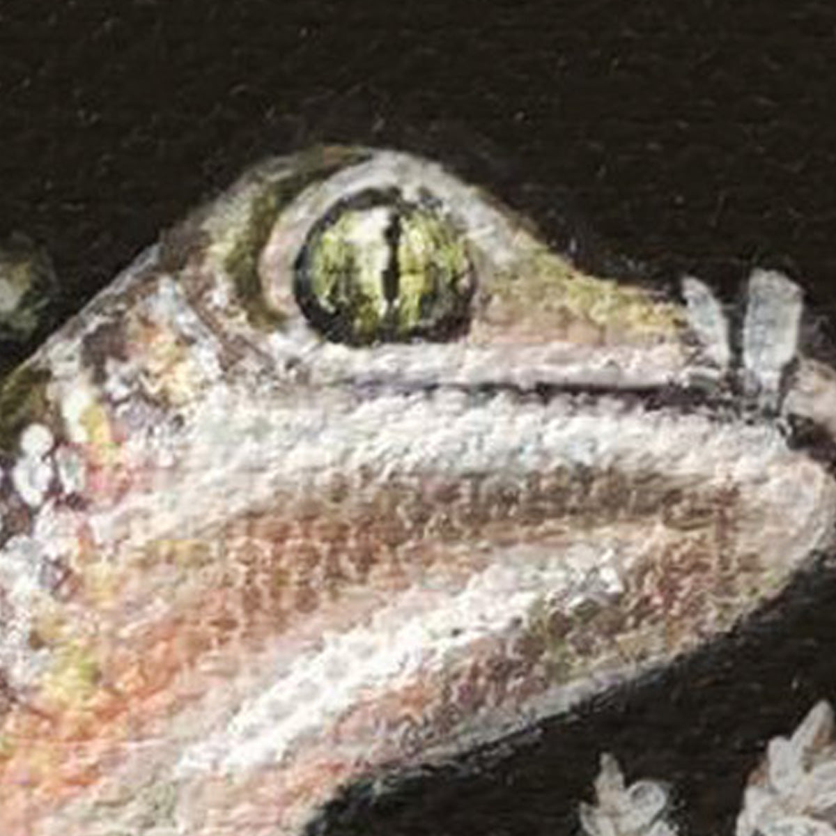 Fine Art Print, Glassed Gecko