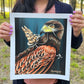 Fine Art Print, Hare and Hawk